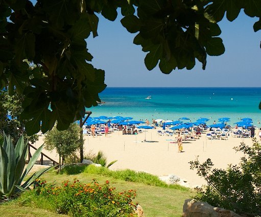_DSC0070 At fig tree bay.