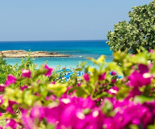 _DSC0098 At fig tree bay.