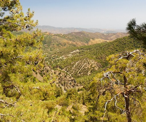 _DSC0041 View at the Troodos mountain range.