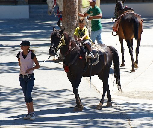 _DSC0050 Horses at Troodos square.