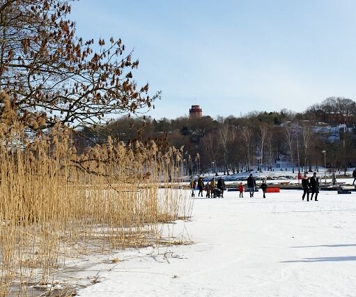 _DSC0021 Walking on the frozen lake.