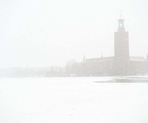 _DSC0002 View of the town hall from Riddarholmen.
