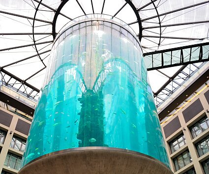 _DSC0083 The cylindrical aquarium in the lobby of Radisson Blu hotel. The aquarium contains one million litres of salt-water.