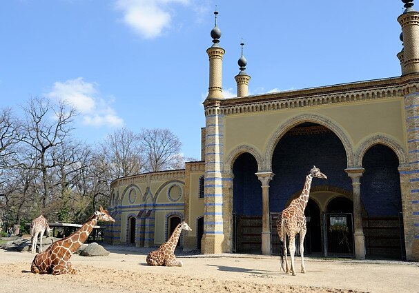 At Berlin Zoo