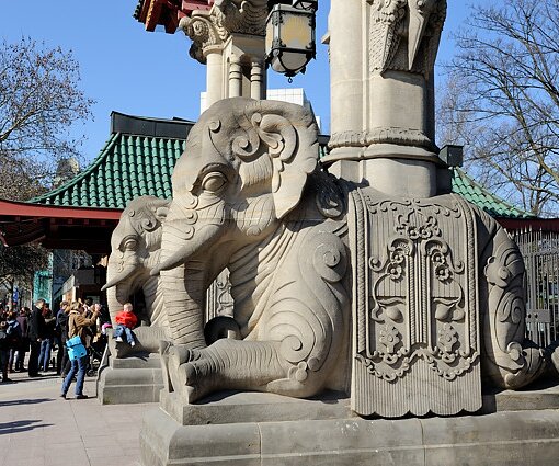 _DSC0155 Elephants at the zoo entrance.