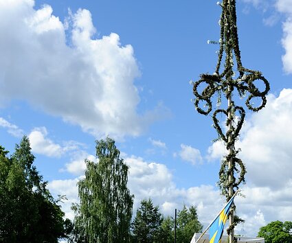 _DSC0021 Around the midsummer pole at Skansen.