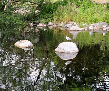 _DSC0029 Lake at Skansen.