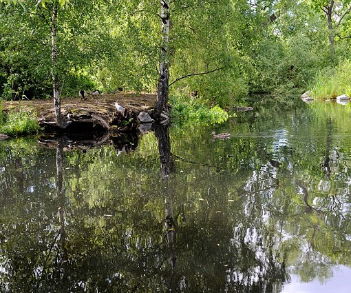 _DSC0033 Lake at Skansen.