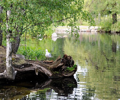 _DSC0037 Lake at Skansen.