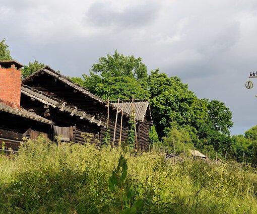 _DSC0053 At Skansen, a midsummer pole to the right.