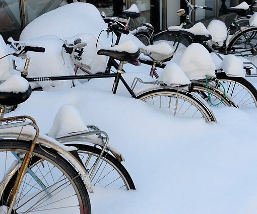 _DSC0006 Bicycles in the snow.