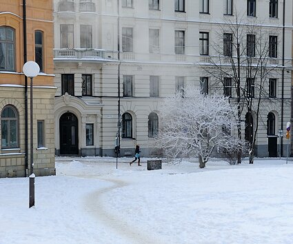 _DSC0038 Snow in the park.