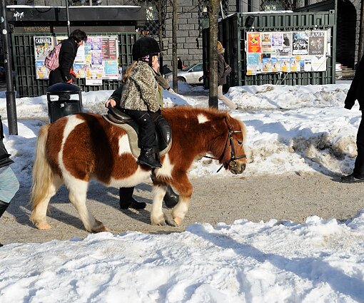 _DSC0029 Ponny riding in Kungsträdgården.