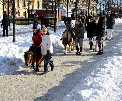 _DSC0034 Ponny riding in Kungsträdgården.