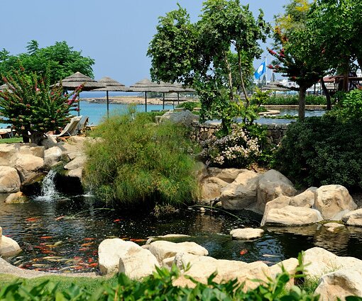 _DSC0073 View by the pond with koi fish.