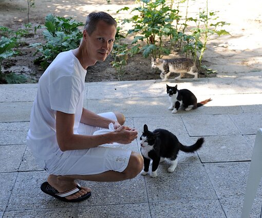 _DSC0002_1 Arto feeding the cats in Nicosia.