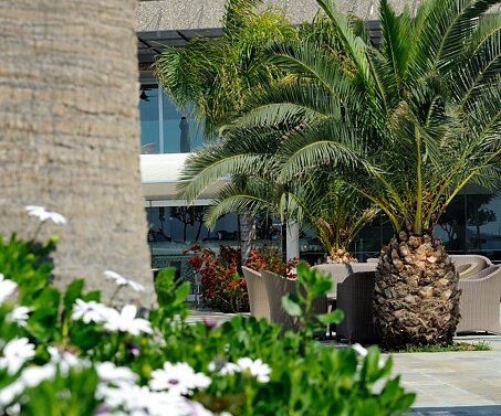 _DSC0021_1 At the hotel in Limassol.