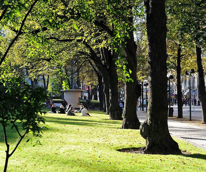 _DSC0006_1 At the park by the Esplanade boulevard.