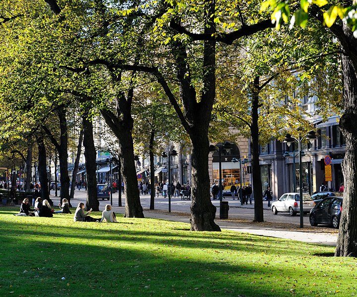 _DSC0008_1 At the park by the Esplanade boulevard.