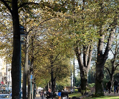 _DSC0020 Walking at the Esplanade in Helsinki.