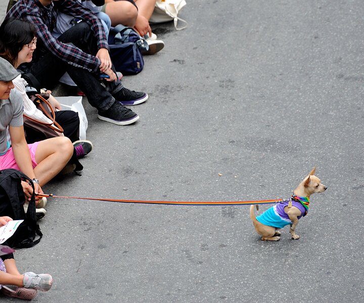_DSC0011 Waiting to see the pride parade.