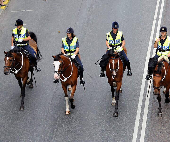 _DSC0020 Police on horses, making way for the pride parade.