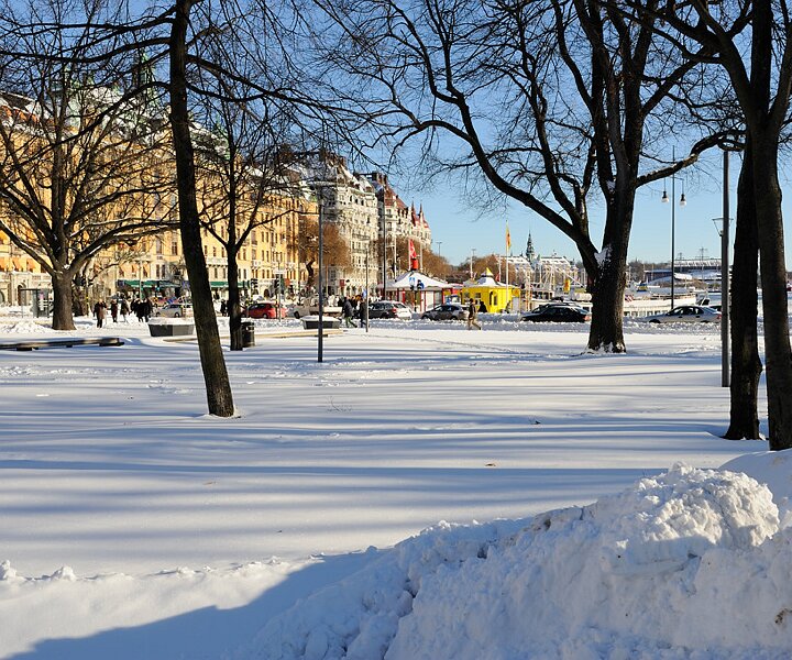 _DSC0001 Berzelii Park in February.