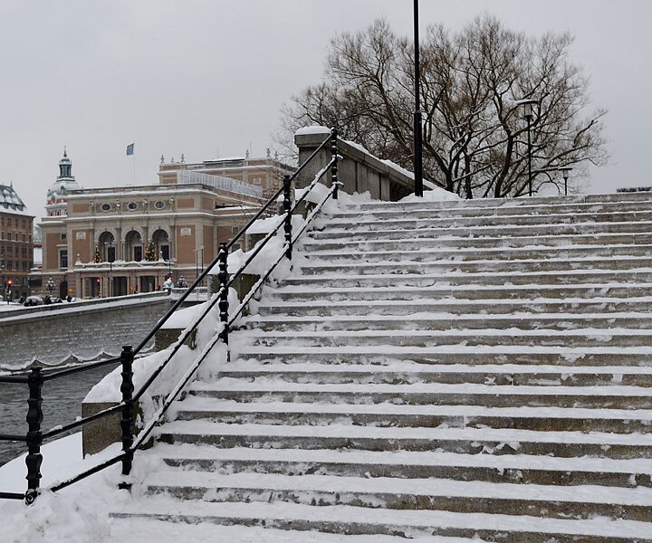 _DSC0015 Snow on the stairs.