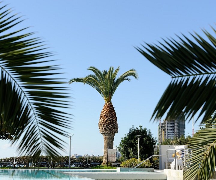 _DSC0040 By the pool at Crowne Plaza.