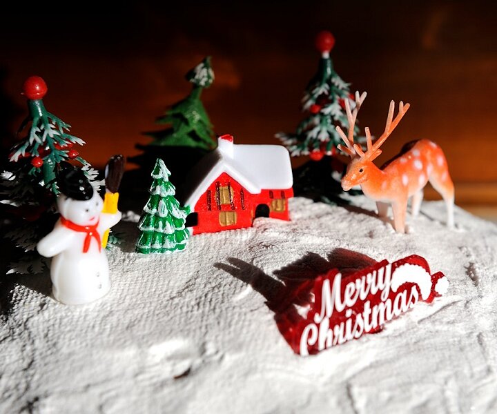 _DSC0010_1 Decorations on the Christmas cake.