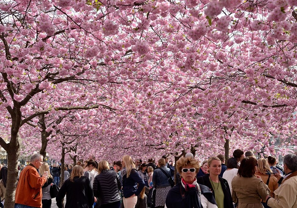 Stockholm in April