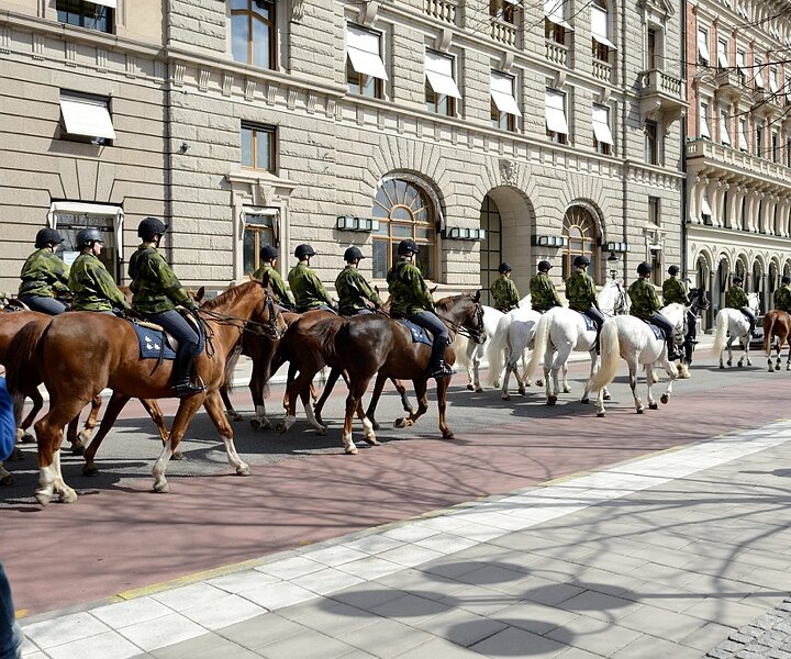 _DSC0002 March of the Royal Guards in Stockholm.