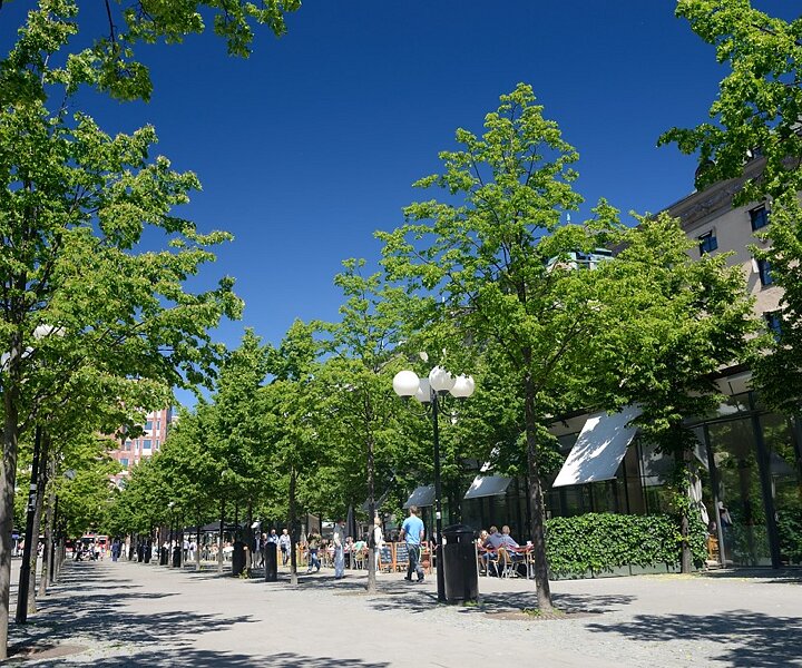 _DSC0016 View at Kungsträdgården.