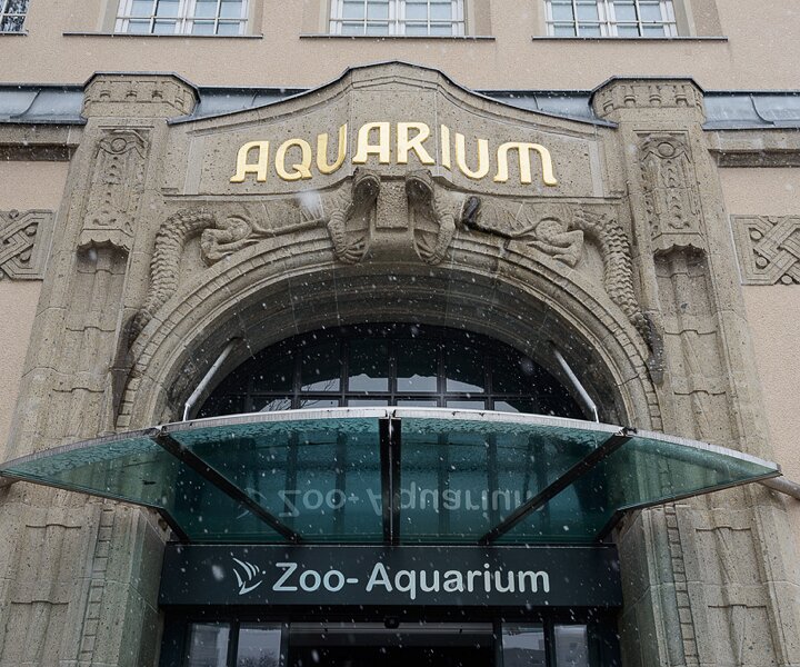 _DSC0007 The entrance to the Aquarium.