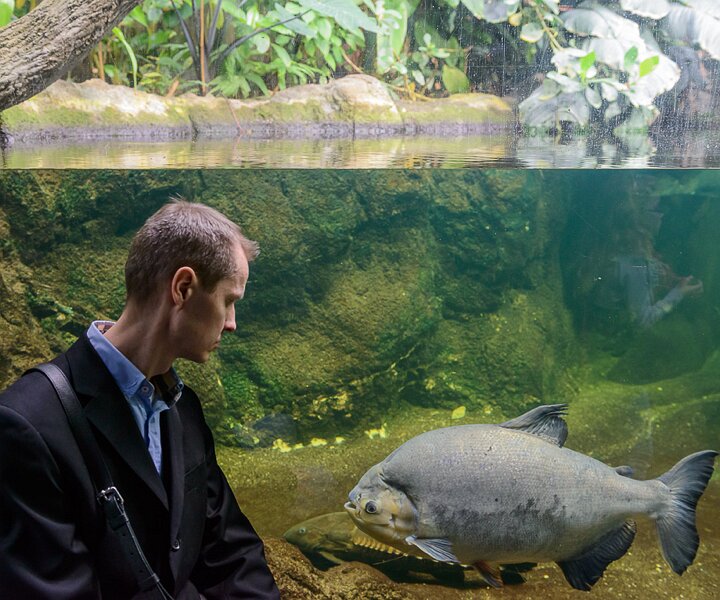 _DSC0048 Arto looking at the fish.