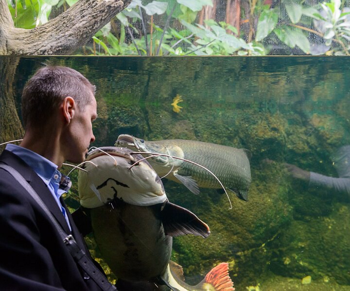 _DSC0051 Arto looking at the fish.