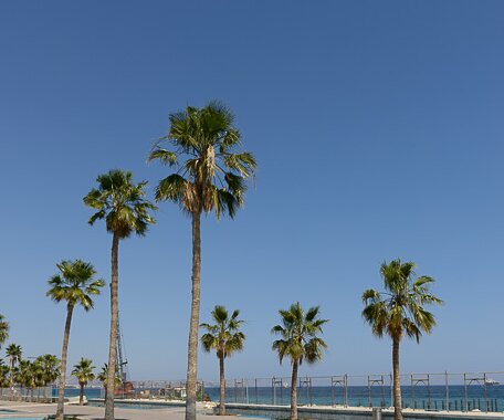_DSC0062 At the seaside promenade (Molos) in Limassol.
