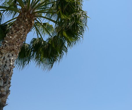 _DSC0068 By the beach at the hotel in Limassol.