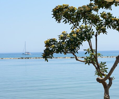 _DSC0069 Sea view.