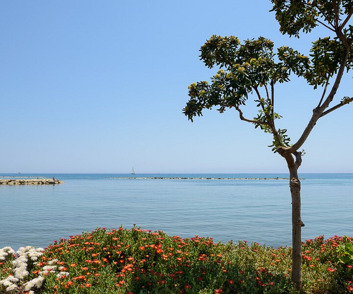 _DSC0072 Sea view.