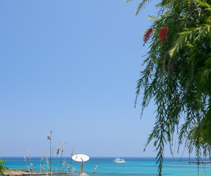 _DSC0036 View from Koi at Capo Bay Hotel .