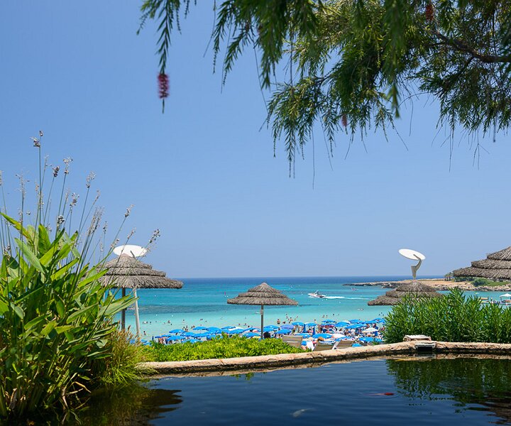 _DSC0038 View from Koi at Capo Bay Hotel .