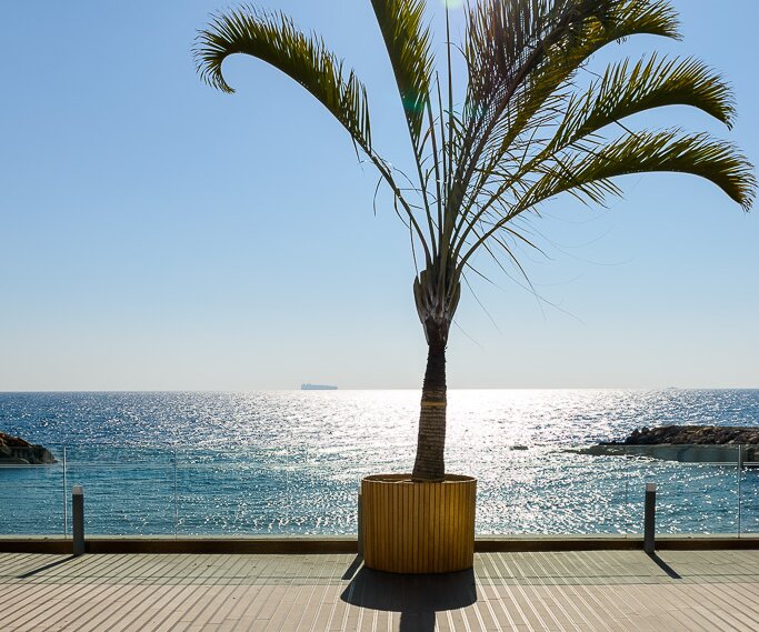 _DSC0003 By the sea at the Royal Apollonia hotel in Limassol.
