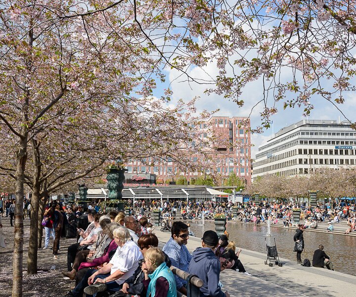 _DSC0001 Enjoying spring in Kungsträdgården.