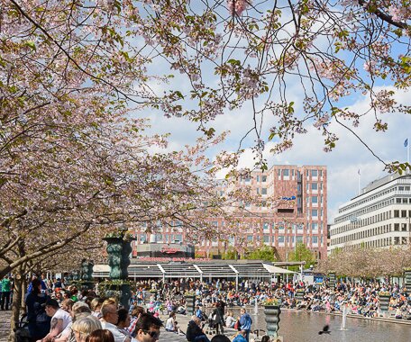 _DSC0008 Enjoying spring in Kungsträdgården.