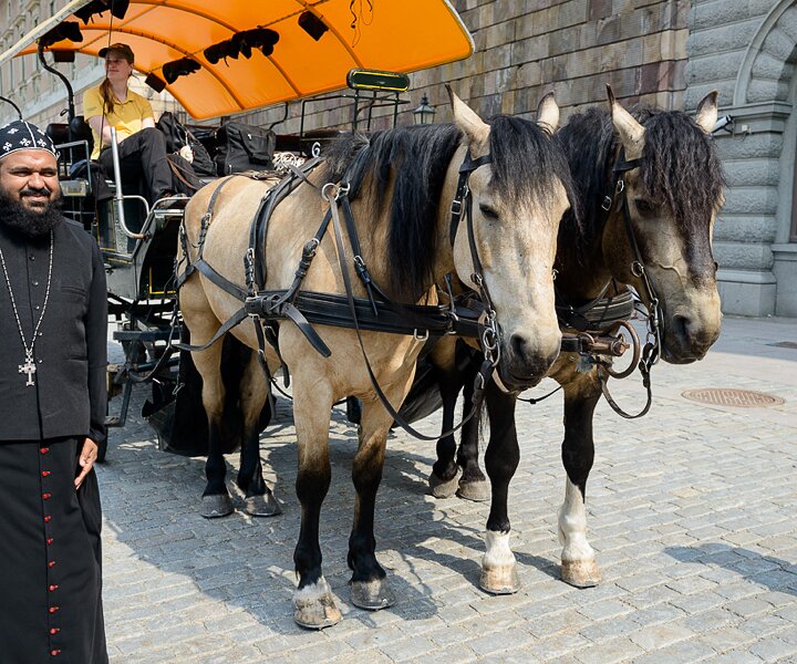 _DSC0005 Posing with horses outside the Royal Palace.