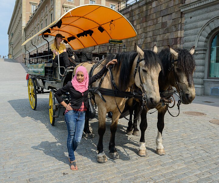 _DSC0009 Posing with horses outside the Royal Palace.