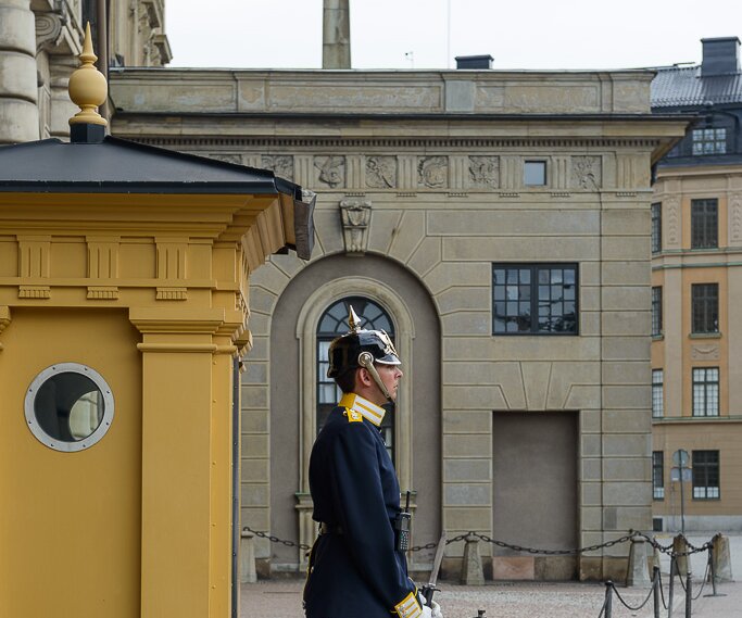 _DSC0034 Guard in the courtyard of the Royal Palace.