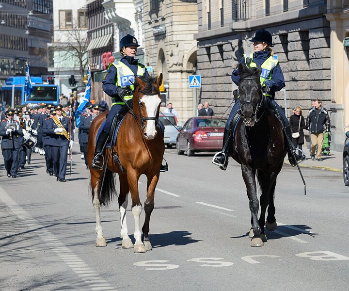 _DSC0018 March of the Royal Guards in Stockholm.