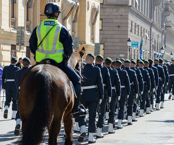 _DSC0037 March of the Royal Guards in Stockholm.